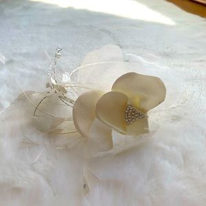 Beautiful birdcage veil